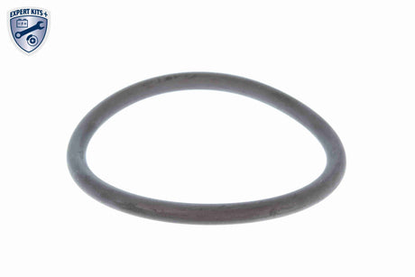 Thermostat, coolant - V15-99-2059