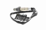 Oxygen Sensor - V40-76-0032