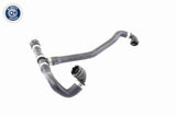 Radiator Hose - V20-1324