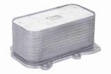 Oil Cooler, engine oil - V30-60-0042