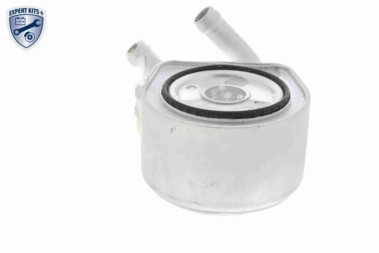 Oil Cooler, engine oil - V25-60-0035