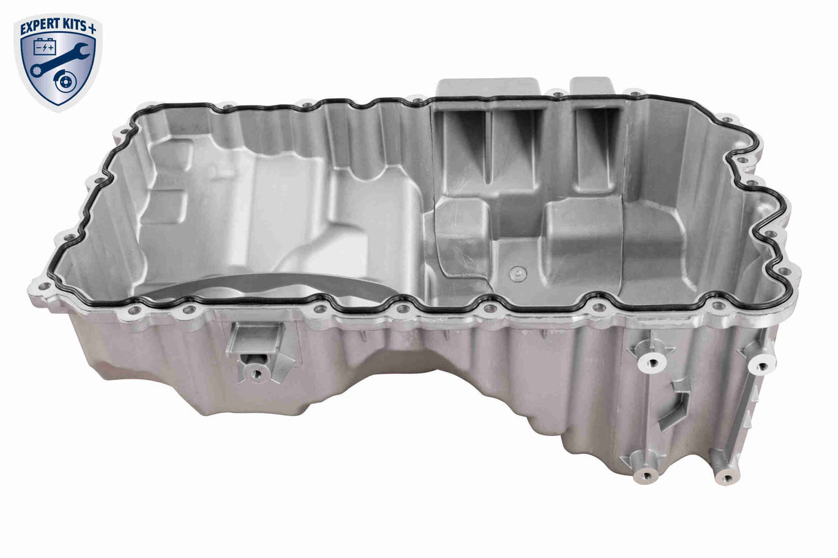 Oil Sump - V20-4174