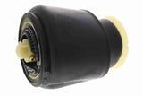 Air Suspension Strut - V20-50-0011-1