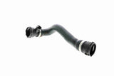 Radiator Hose - V20-1688