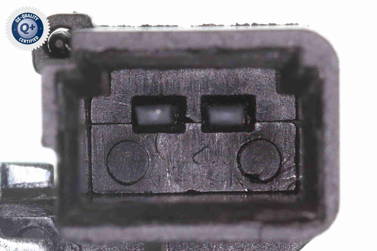 Steering Lock - V10-73-0504