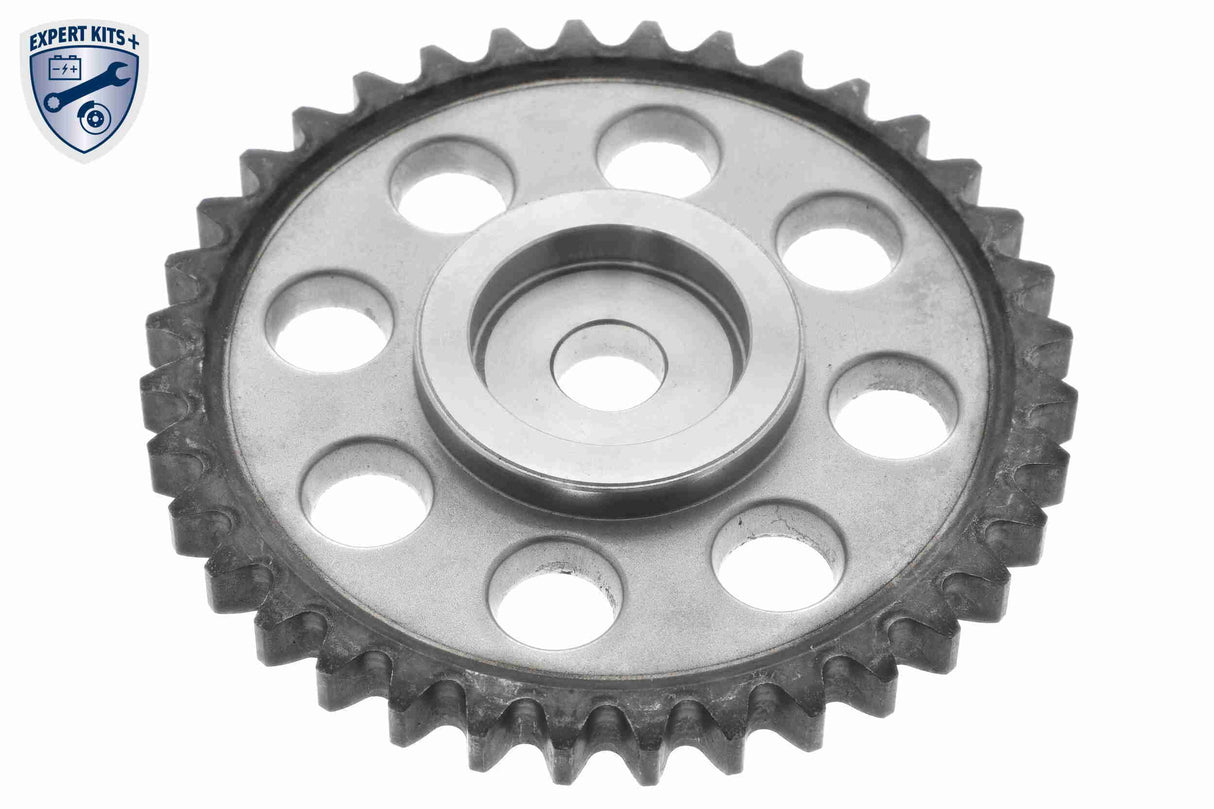 Timing Chain Kit - V10-10014-SP