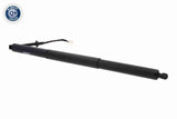 Electric Motor, tailgate - V10-55-0033
