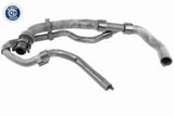 Radiator Hose - V42-0663