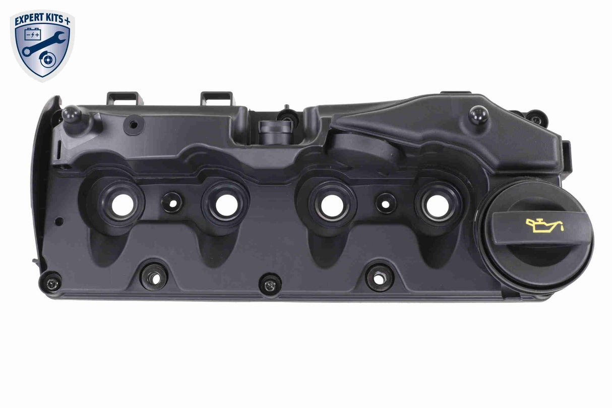 Cylinder Head Cover - V10-6736