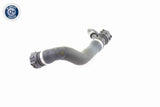 Radiator Hose - V20-1781