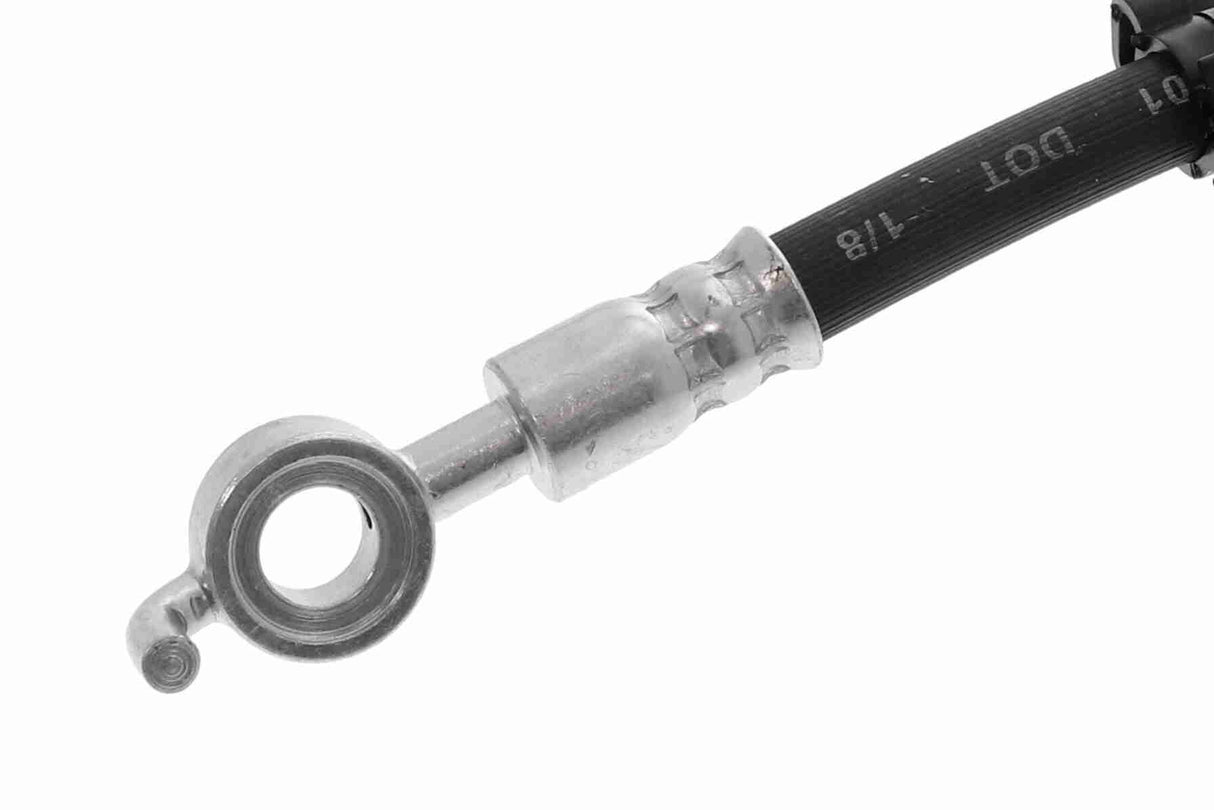 Brake Hose - V22-0621