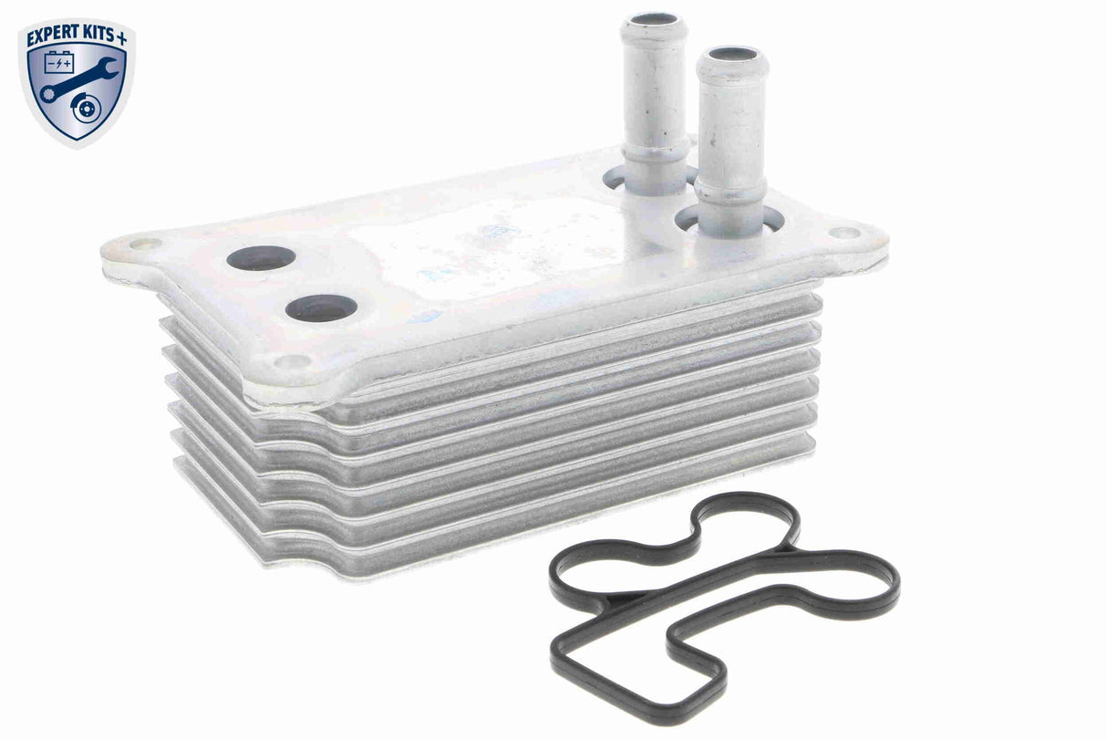 Oil Cooler, engine oil - V25-60-0031