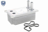 Oil Cooler, engine oil - V25-60-0031