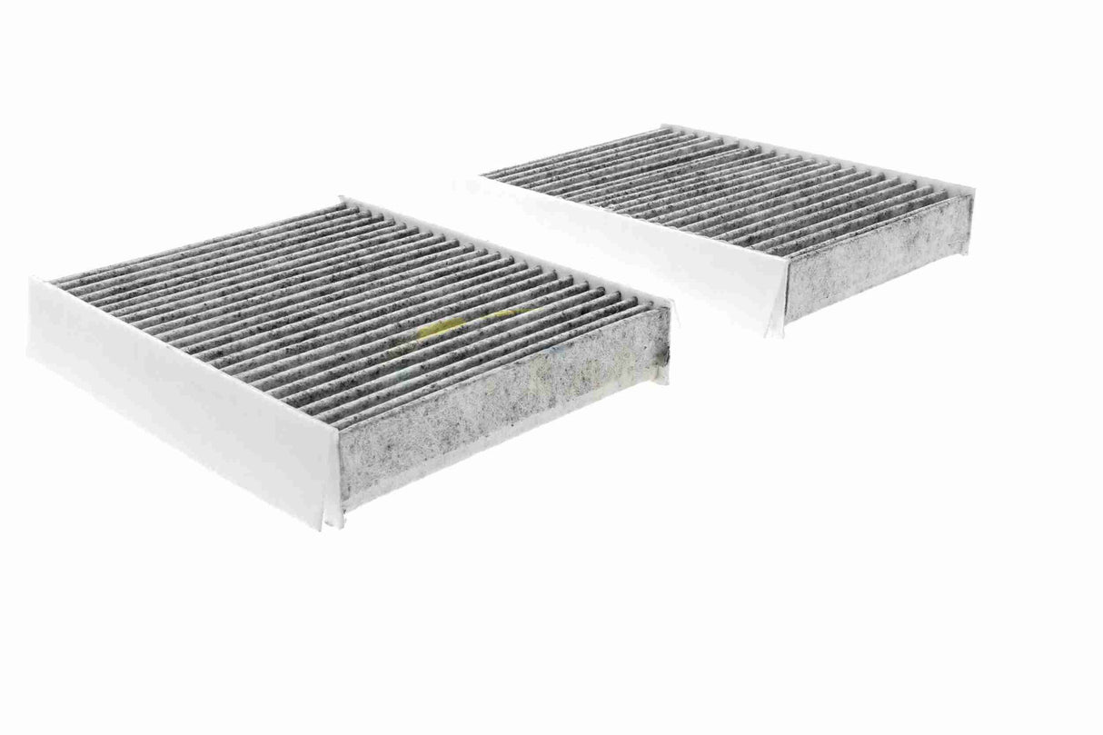 Filter, cabin air - V20-31-5003