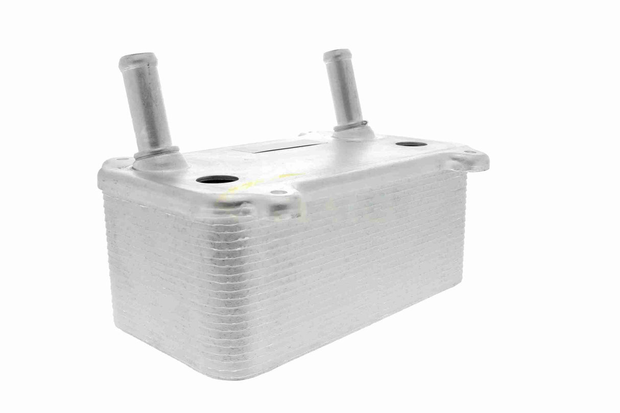 Oil Cooler, engine oil - V48-60-0008