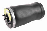 Air Suspension Strut - V20-50-0003-1