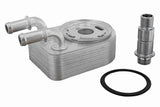 Oil Cooler, engine oil - V33-60-0019