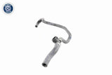 Radiator Hose - V48-0149