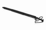 Electric Motor, tailgate - V51-55-0001