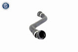 Radiator Hose - V20-2691