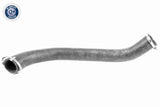 Charge Air Hose - V25-1055
