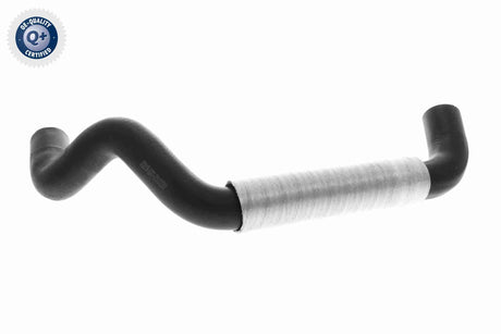 Radiator Hose - V22-1159