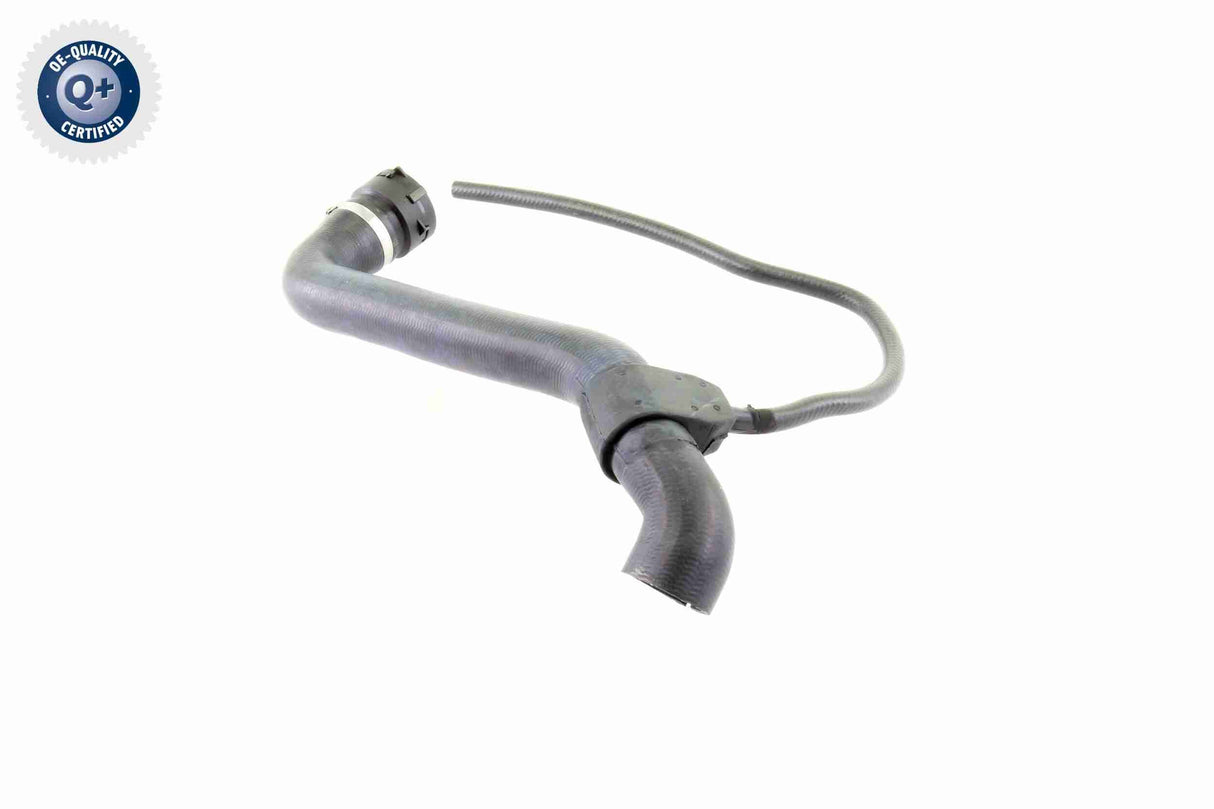 Radiator Hose - V30-1456