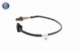 Oxygen Sensor - V20-76-0092