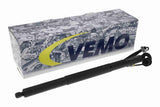 Electric Motor, tailgate - V51-55-0006