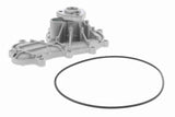 Water Pump, engine cooling - V10-50096