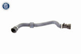 Radiator Hose - V20-1778