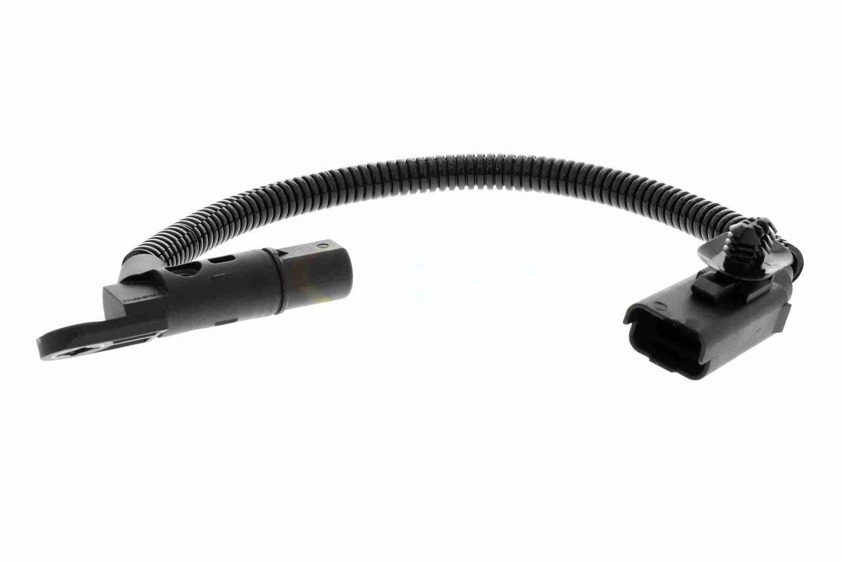 Sensor, camshaft position - V25-72-1185