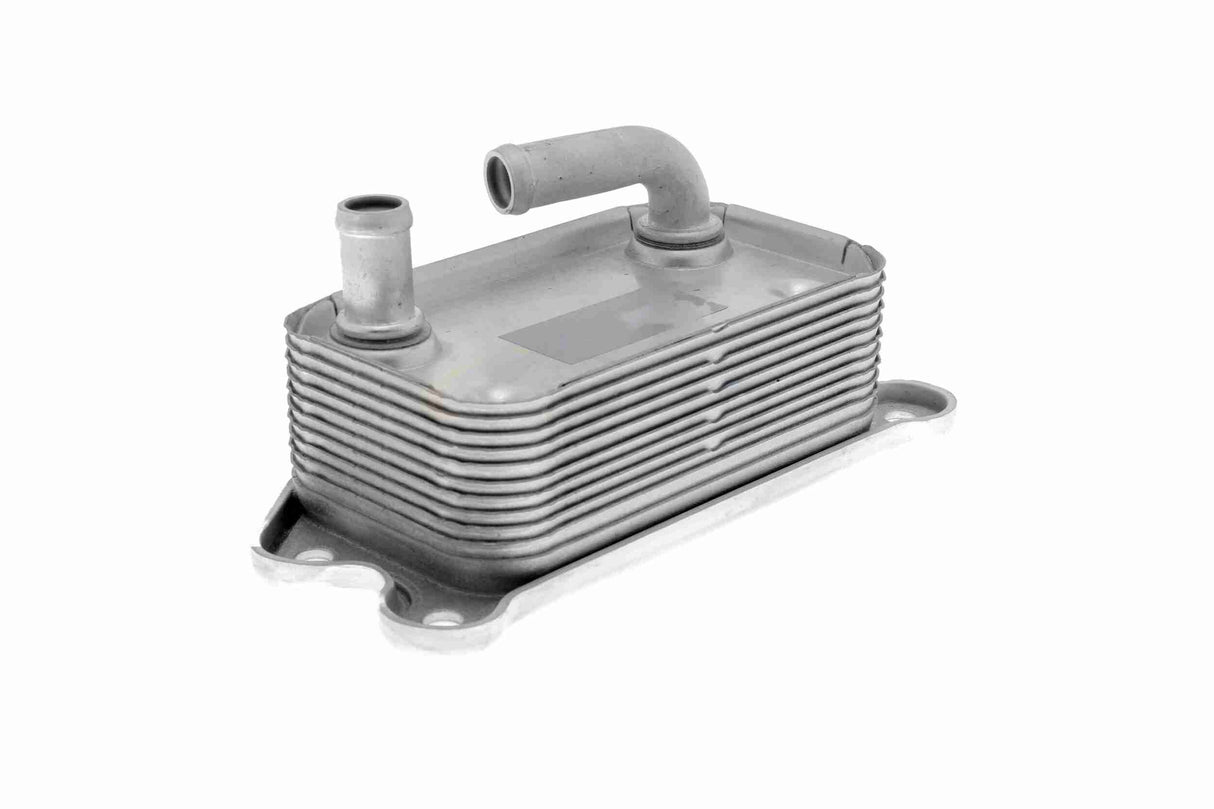 Oil Cooler, engine oil - V95-60-0006