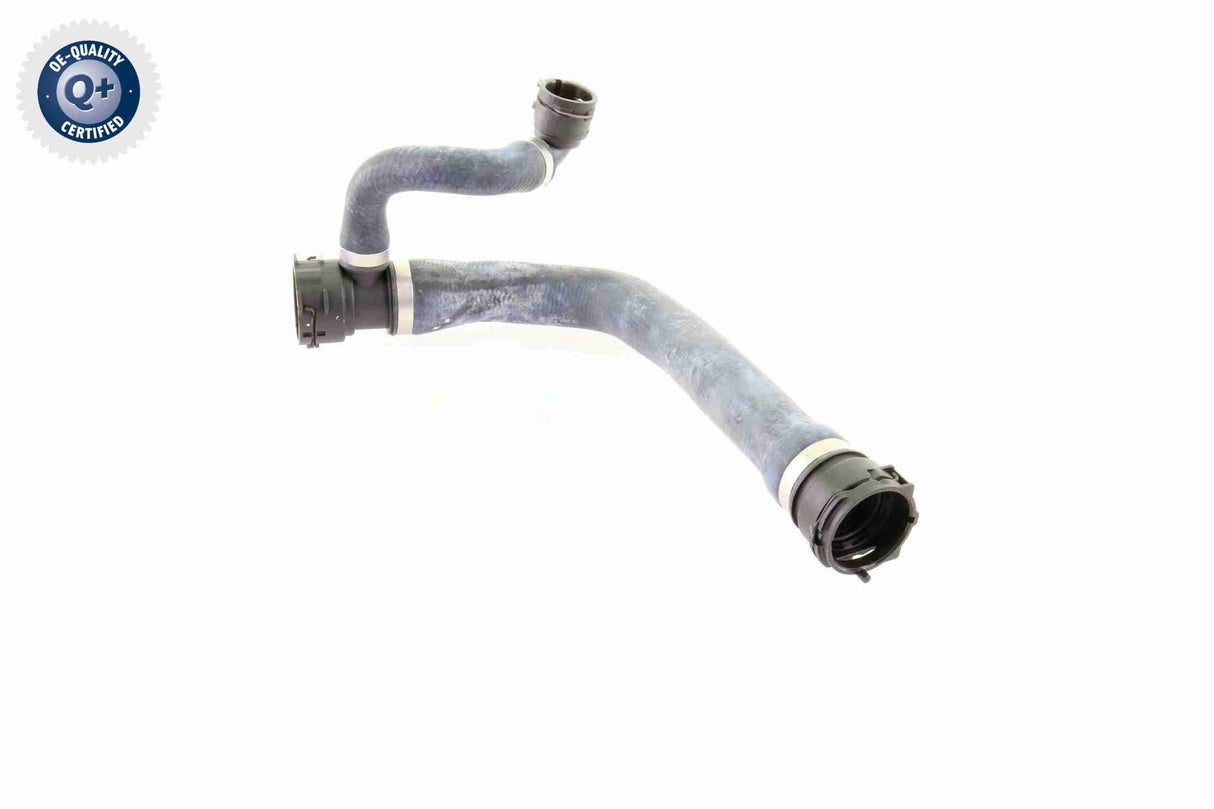 Radiator Hose - V20-1767