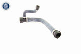 Radiator Hose - V20-1767