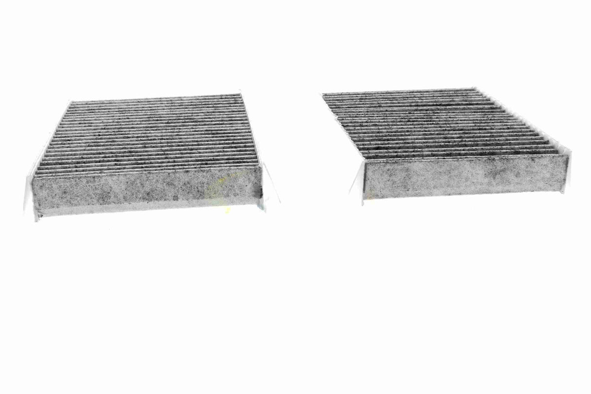 Filter, cabin air - V20-31-5003
