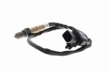 Oxygen Sensor - V25-76-0043