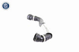 Radiator Hose - V20-2290