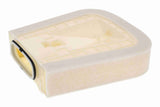 Air Filter - V10-9189