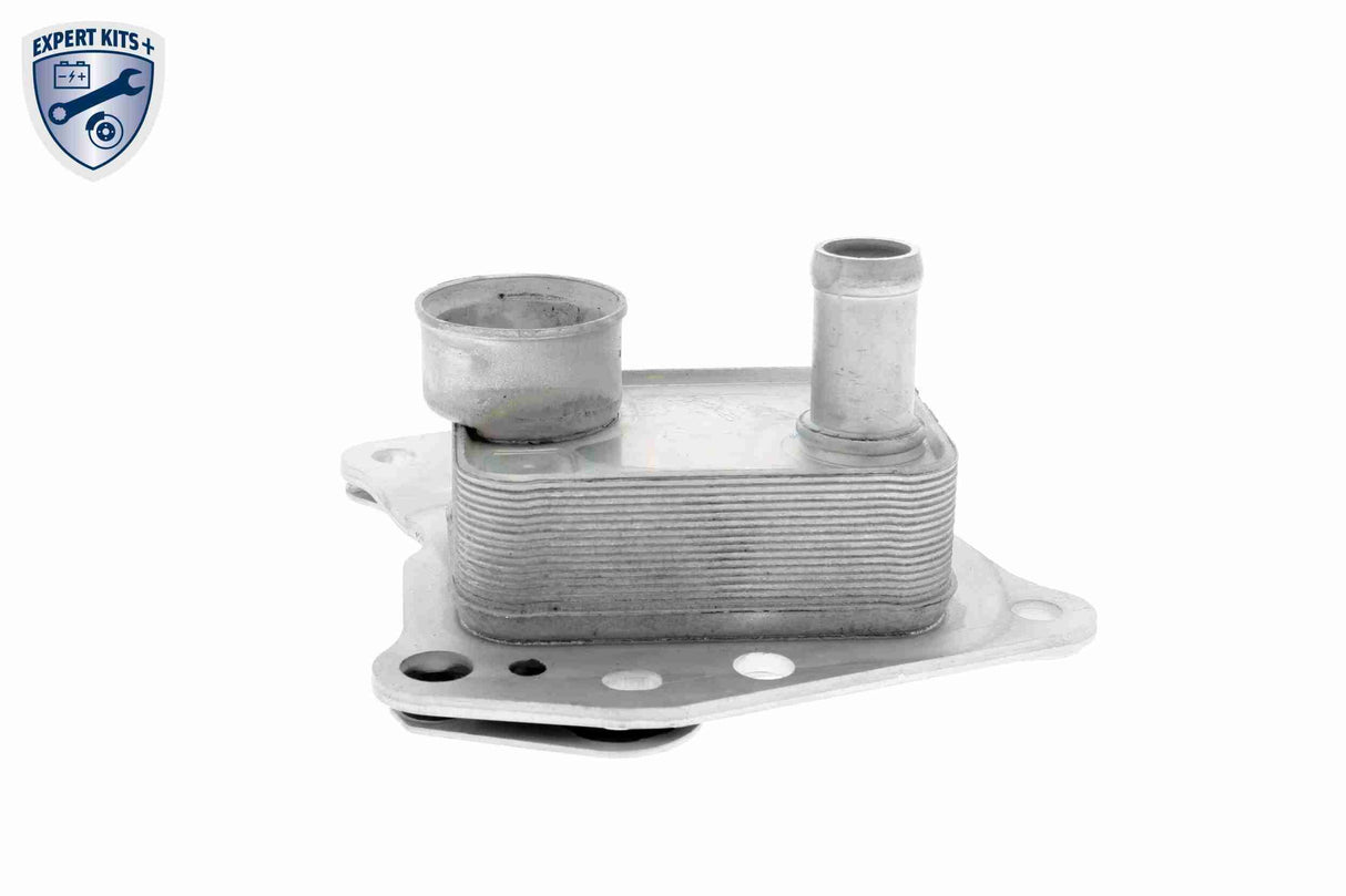 Oil Cooler, engine oil - V30-60-0008