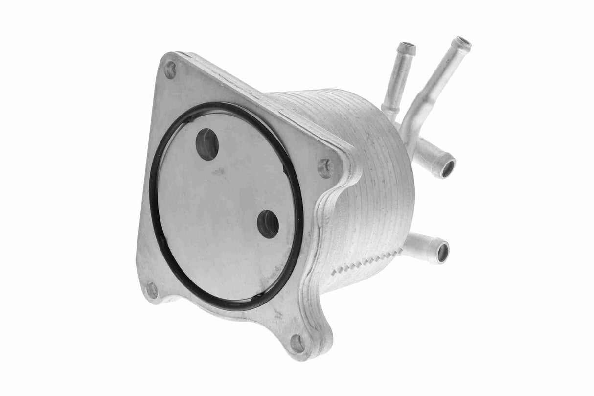Oil Cooler, automatic transmission - V33-60-0012
