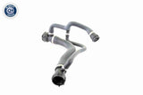 Radiator Hose - V20-0877