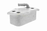 Oil Cooler, engine oil - V15-60-6074