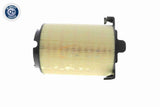 Air Filter - V10-0619