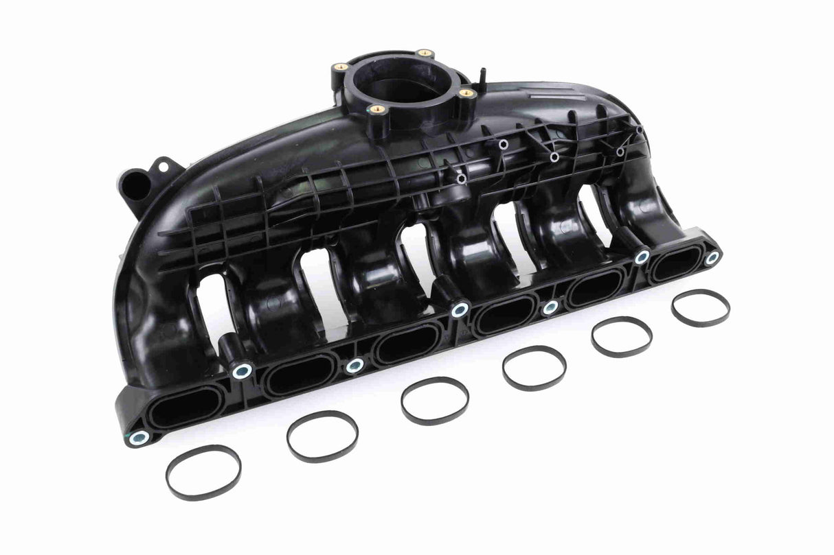 Intake Manifold Module - V20-3844