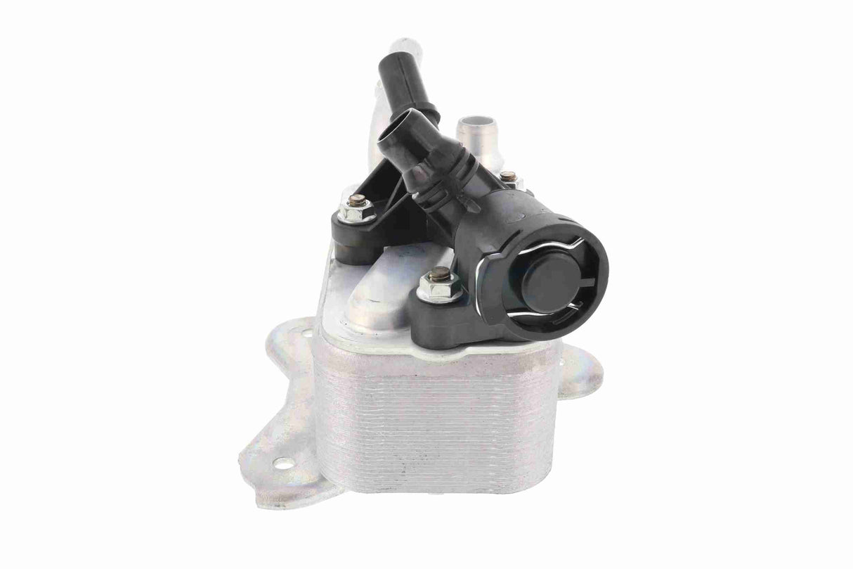 Oil Cooler, automatic transmission - V20-60-1531