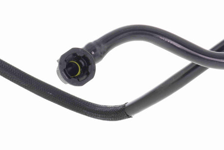 Fuel Line - V25-2149