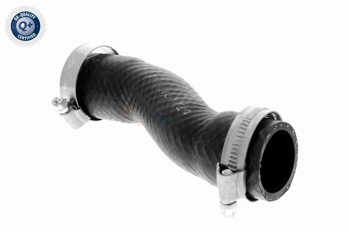 Radiator Hose - V20-2460