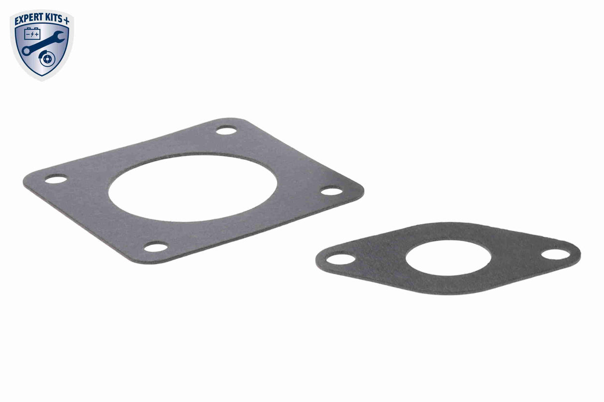Valve, exhaust gas recirculation - V10-63-0054-1