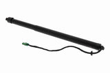 Electric Motor, tailgate - V22-55-0001